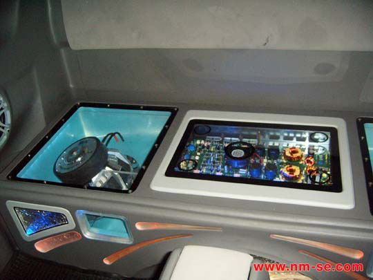 S4300281